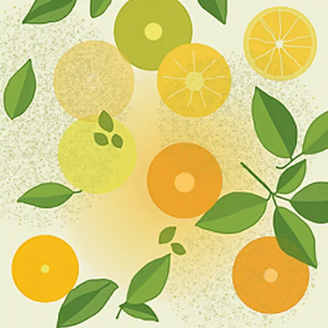 thumbnail for publication: Citrus Disease Identification Chart
